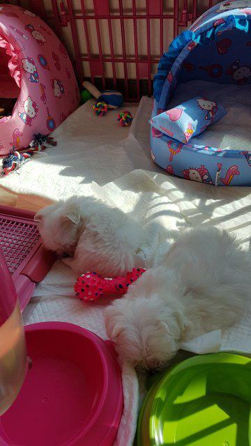 모모ㅇ 프로필