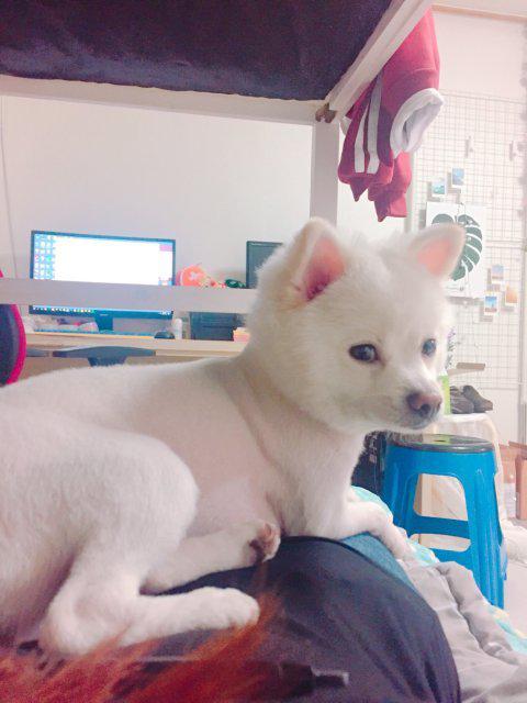 sodaking 프로필