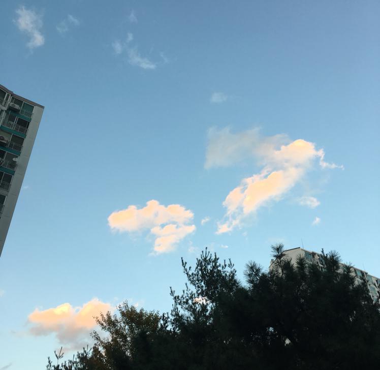 리뷰어 프로필