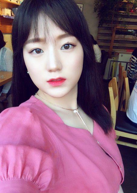 치코리 프로필
