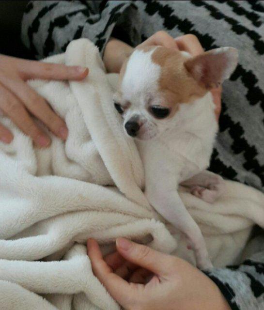 글로우팬 프로필