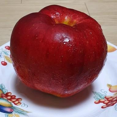 뾰뾰룡마녀 프로필