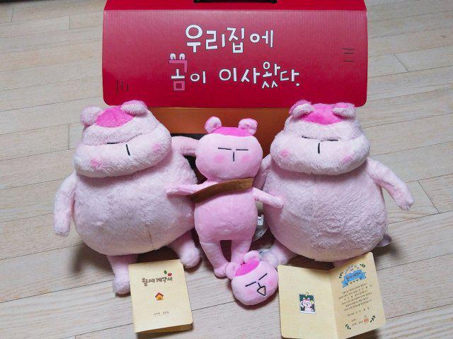 yedoll 프로필