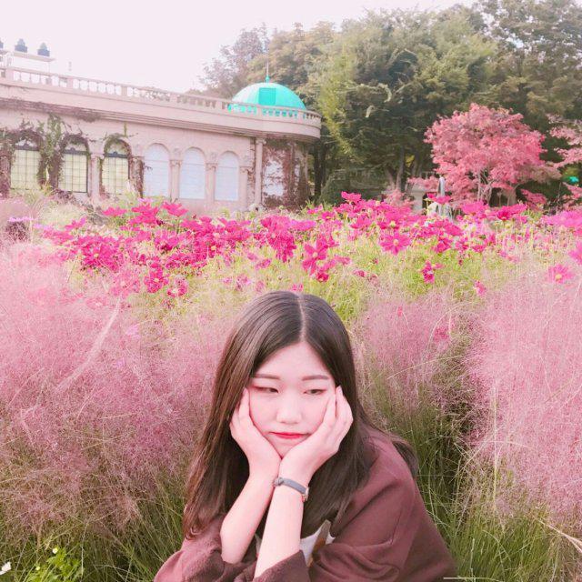 왜다사용중일까 프로필
