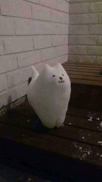 주지수진 프로필