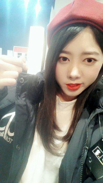 산수유나무 프로필