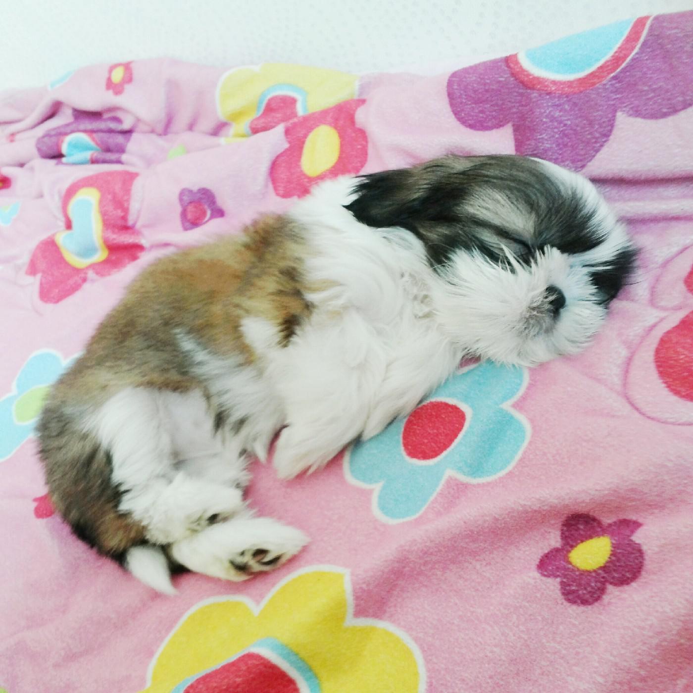 리뷰어 프로필