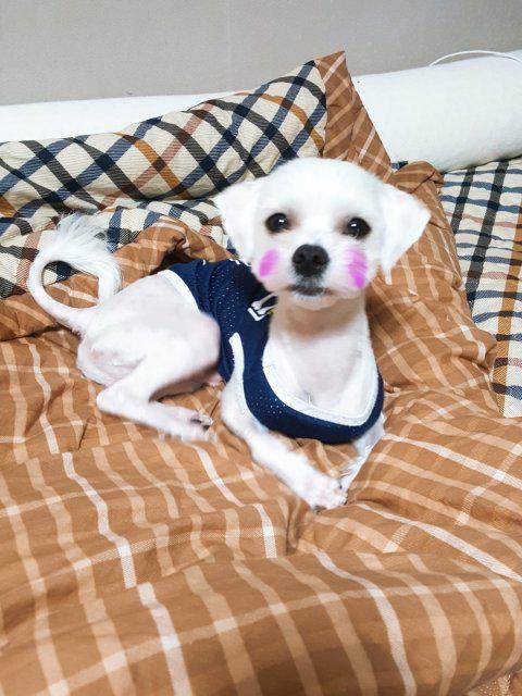 yeenenvy 프로필