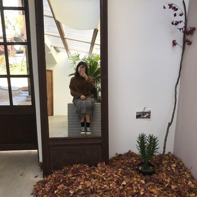 도욤이 프로필