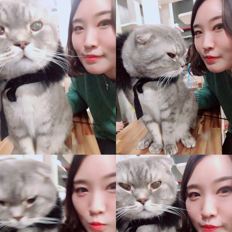 샤몽몽 프로필