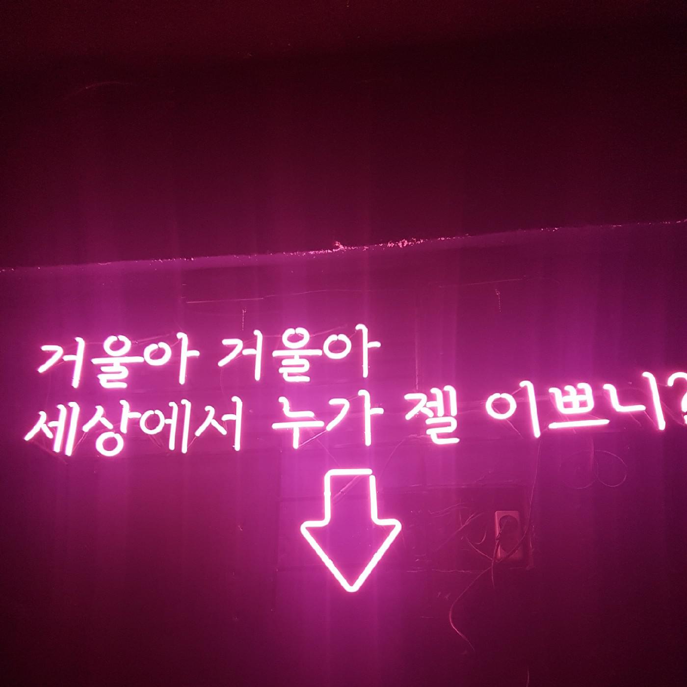 하늘밥도둑 프로필