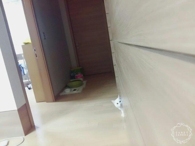 쬰쬬니:D 프로필