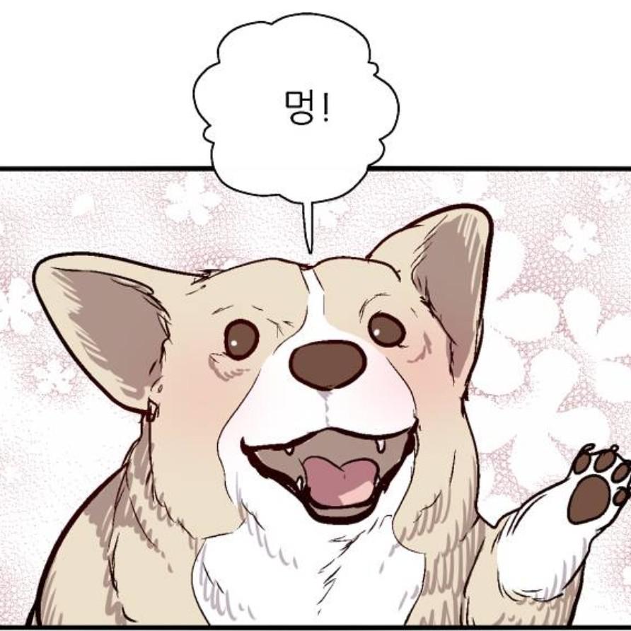 dddjjdjd 프로필