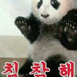 고바 프로필