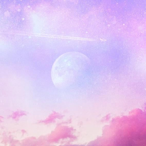 불낙지lover 프로필