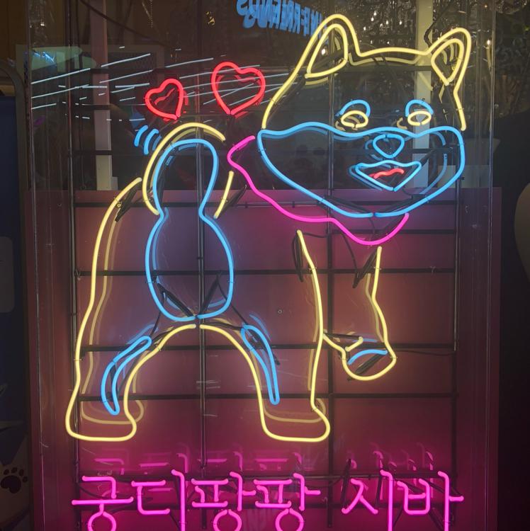 bbogong 프로필