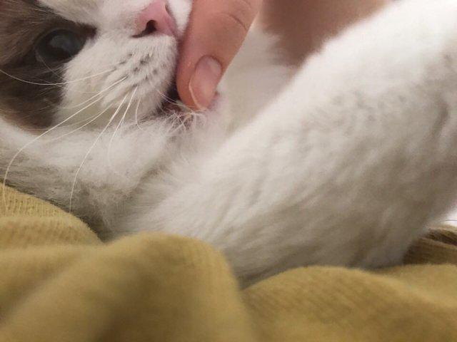 빡롬쓰 프로필