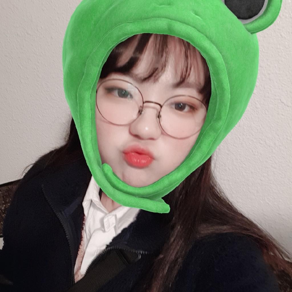 다녤이앞니 프로필