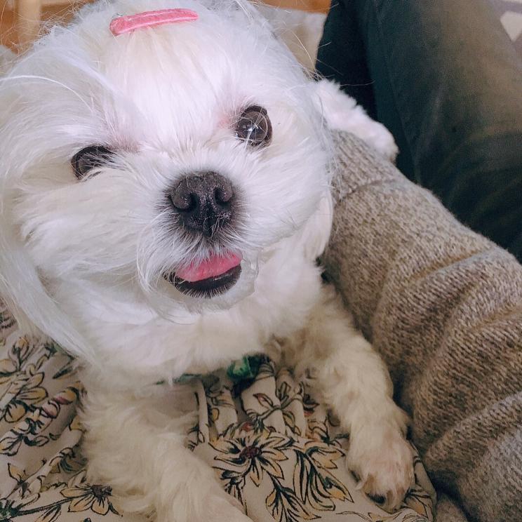오랜날오랜밤 프로필