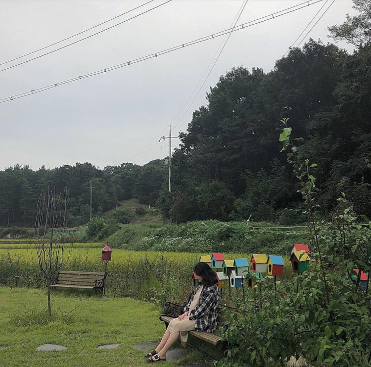 요정설탕 프로필