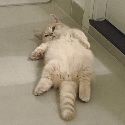 뺭뺭뺭뺭 프로필