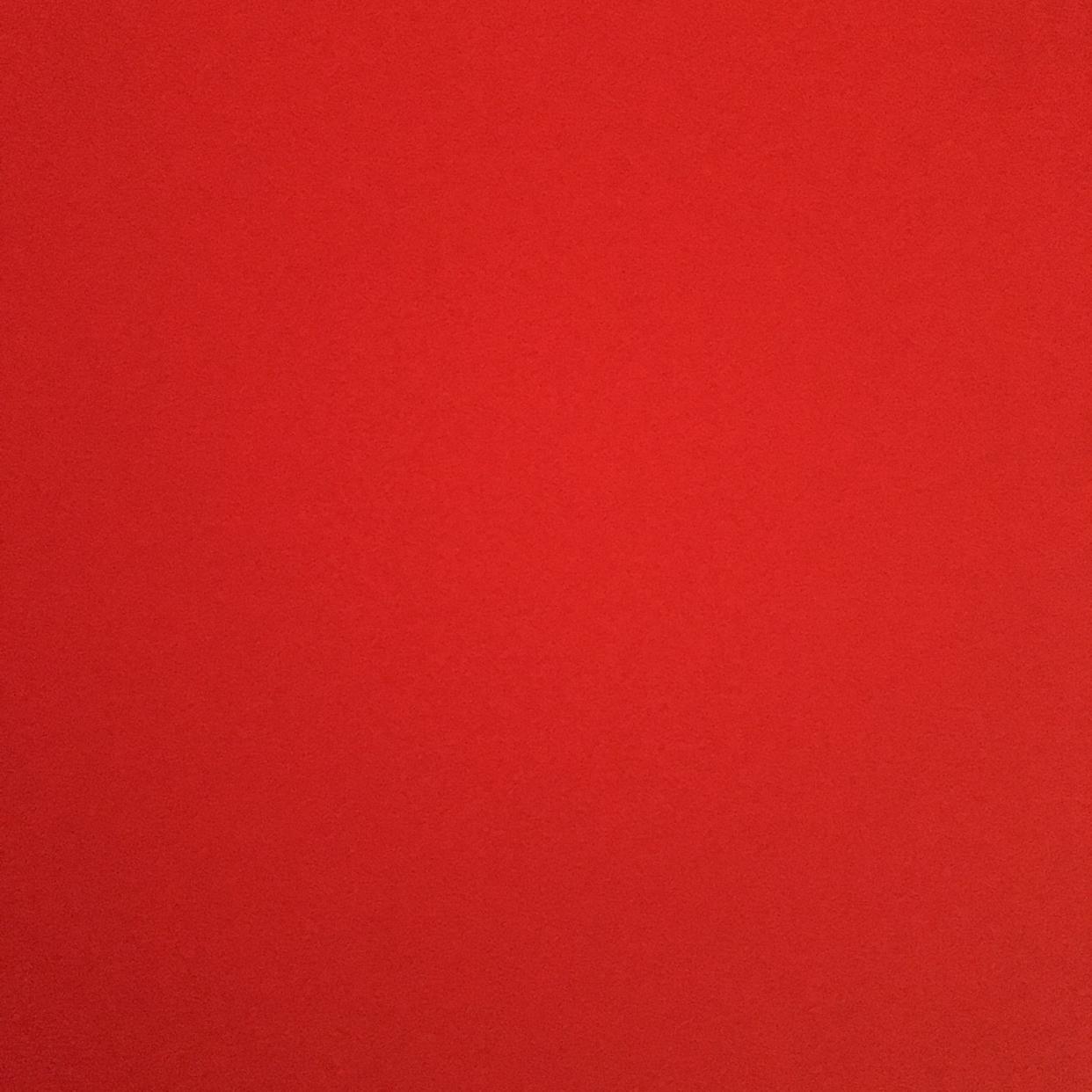 .닝 프로필