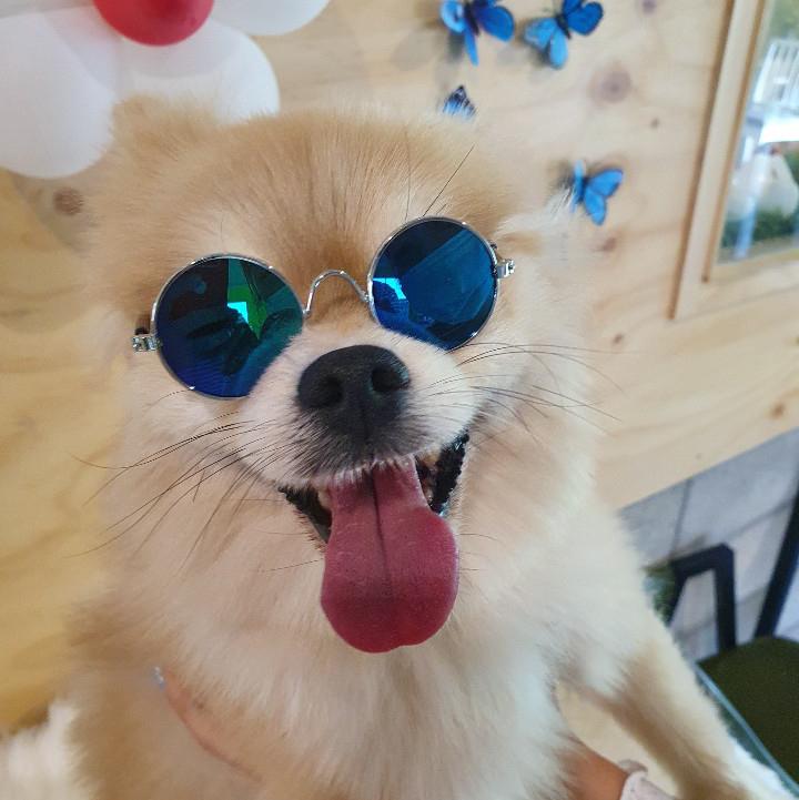은뚱 프로필