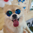 은뚱