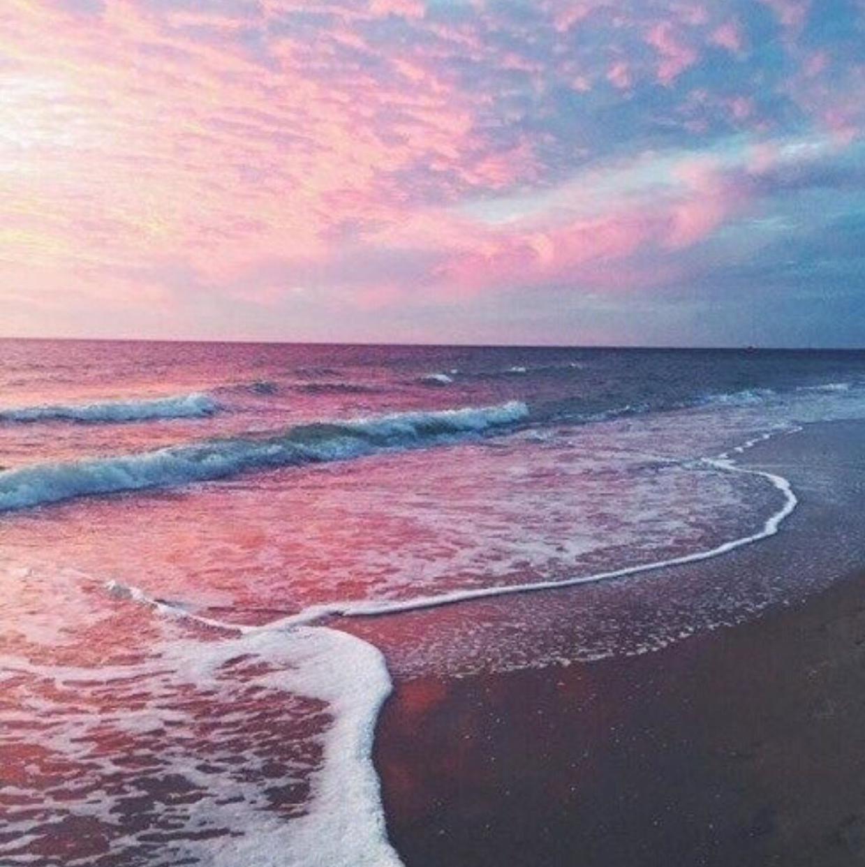 할랑할랑 프로필