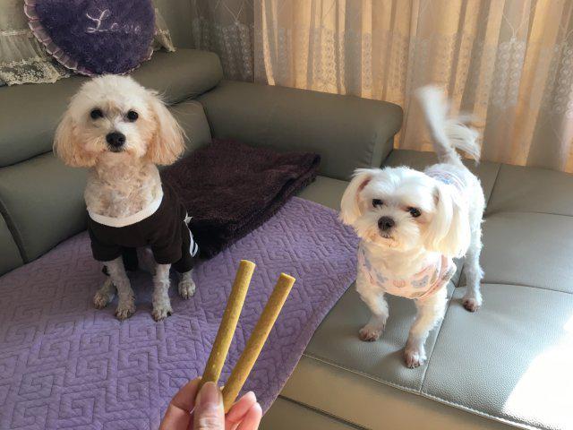 리뷰어 프로필