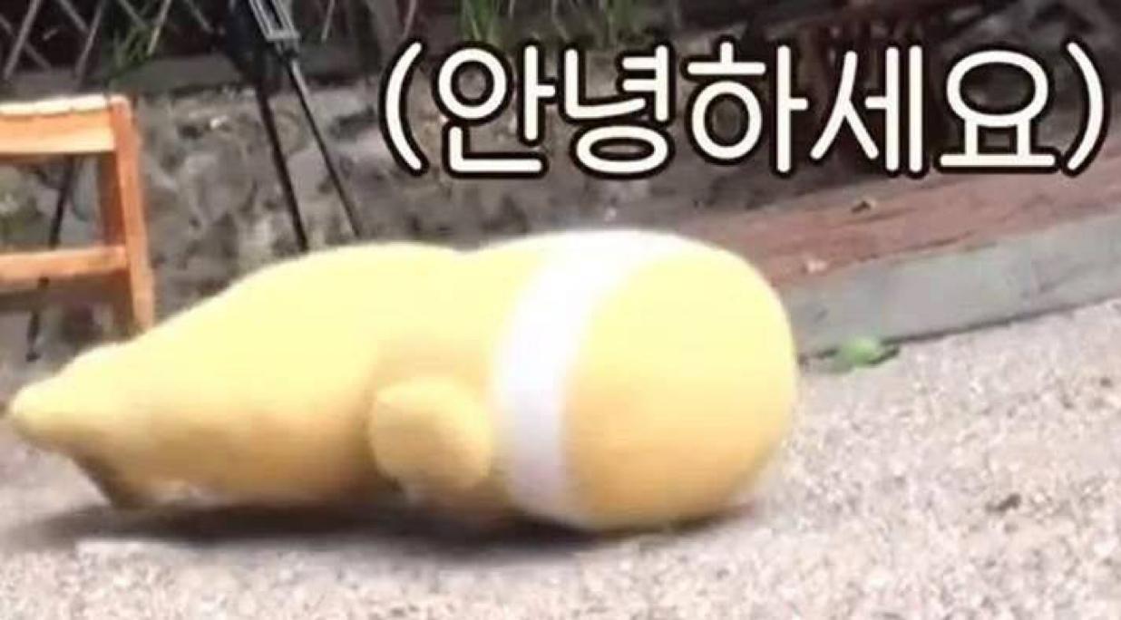 윤0501 프로필