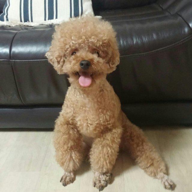 zuswls8877 프로필
