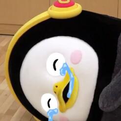 닭희 프로필