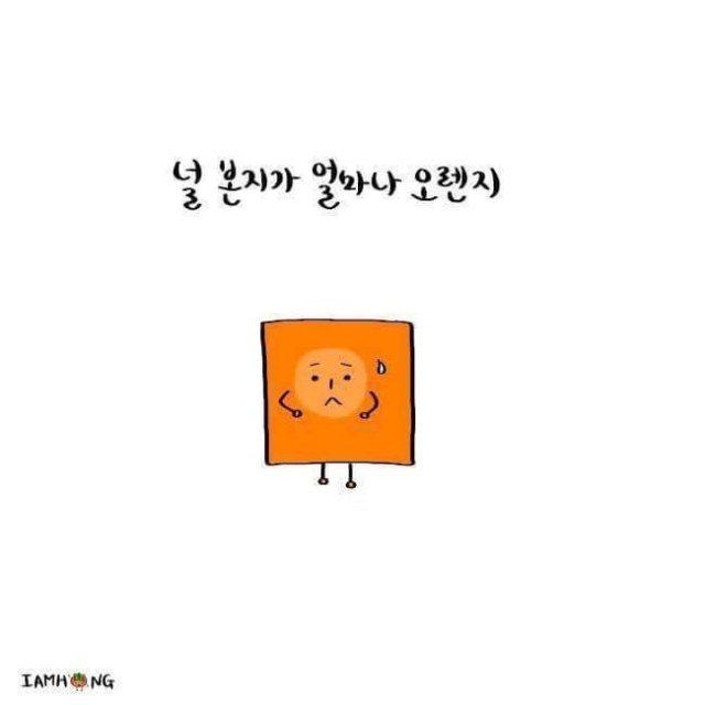 리뷰어 프로필