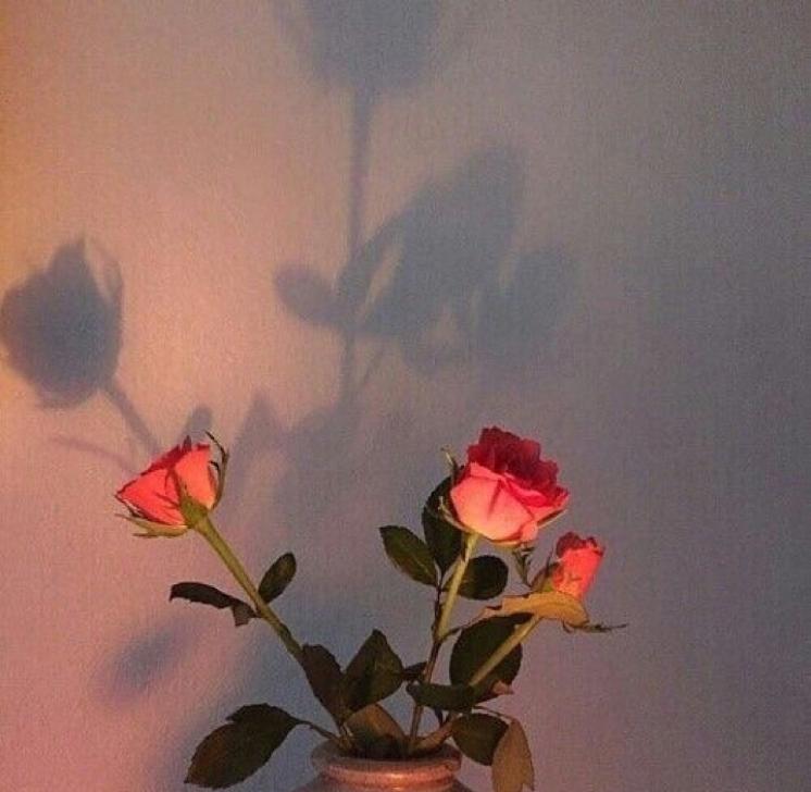 리뷰어 프로필