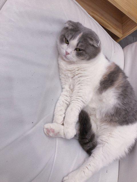 슬님이 프로필