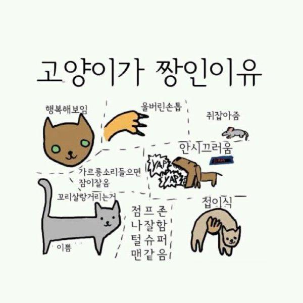 리그릿 프로필