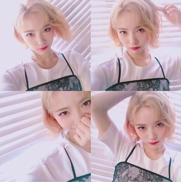 도백희 프로필