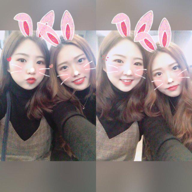 애니바리 프로필