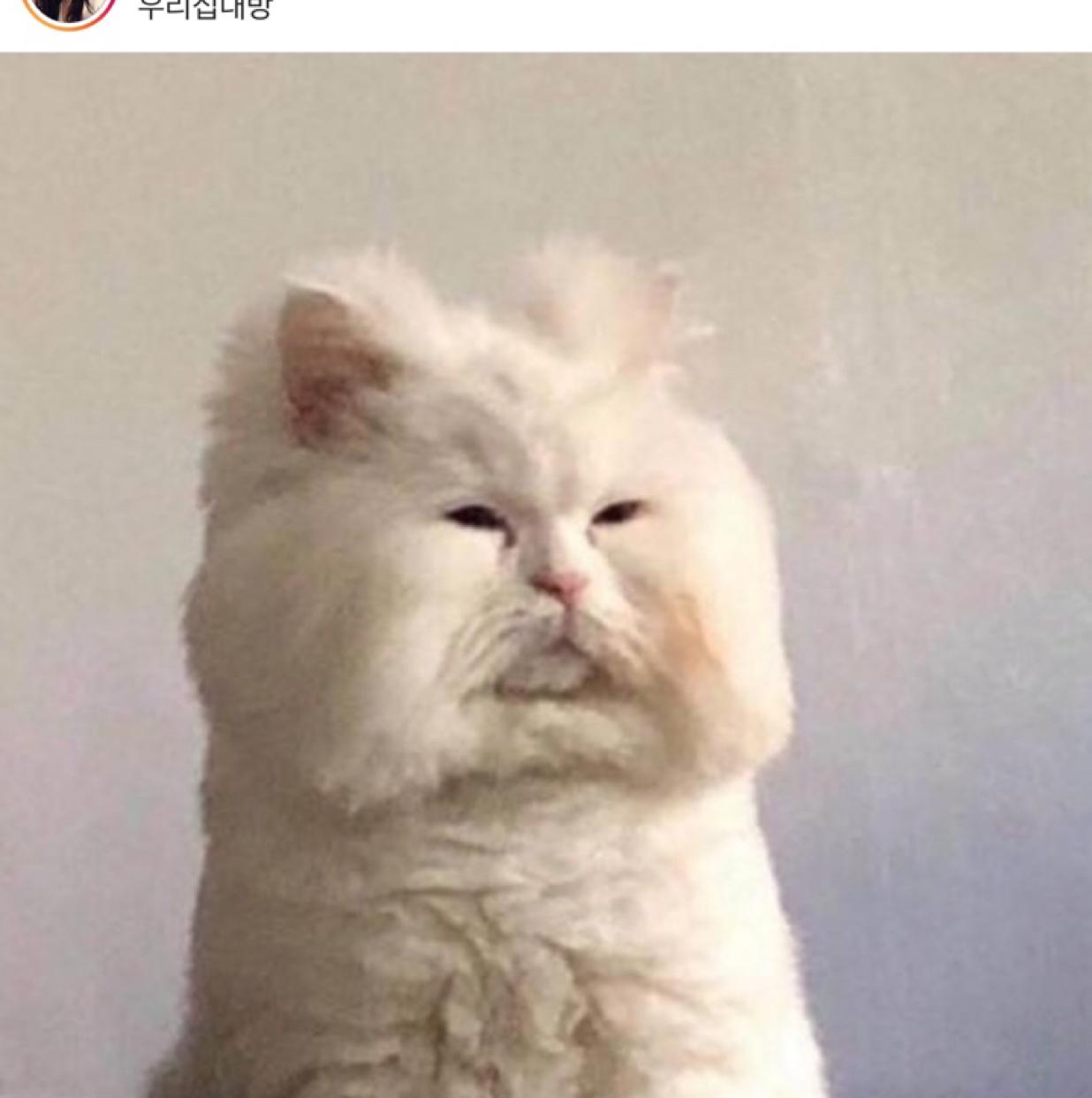 이하나142 프로필