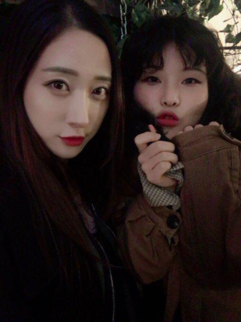 정젤리 프로필