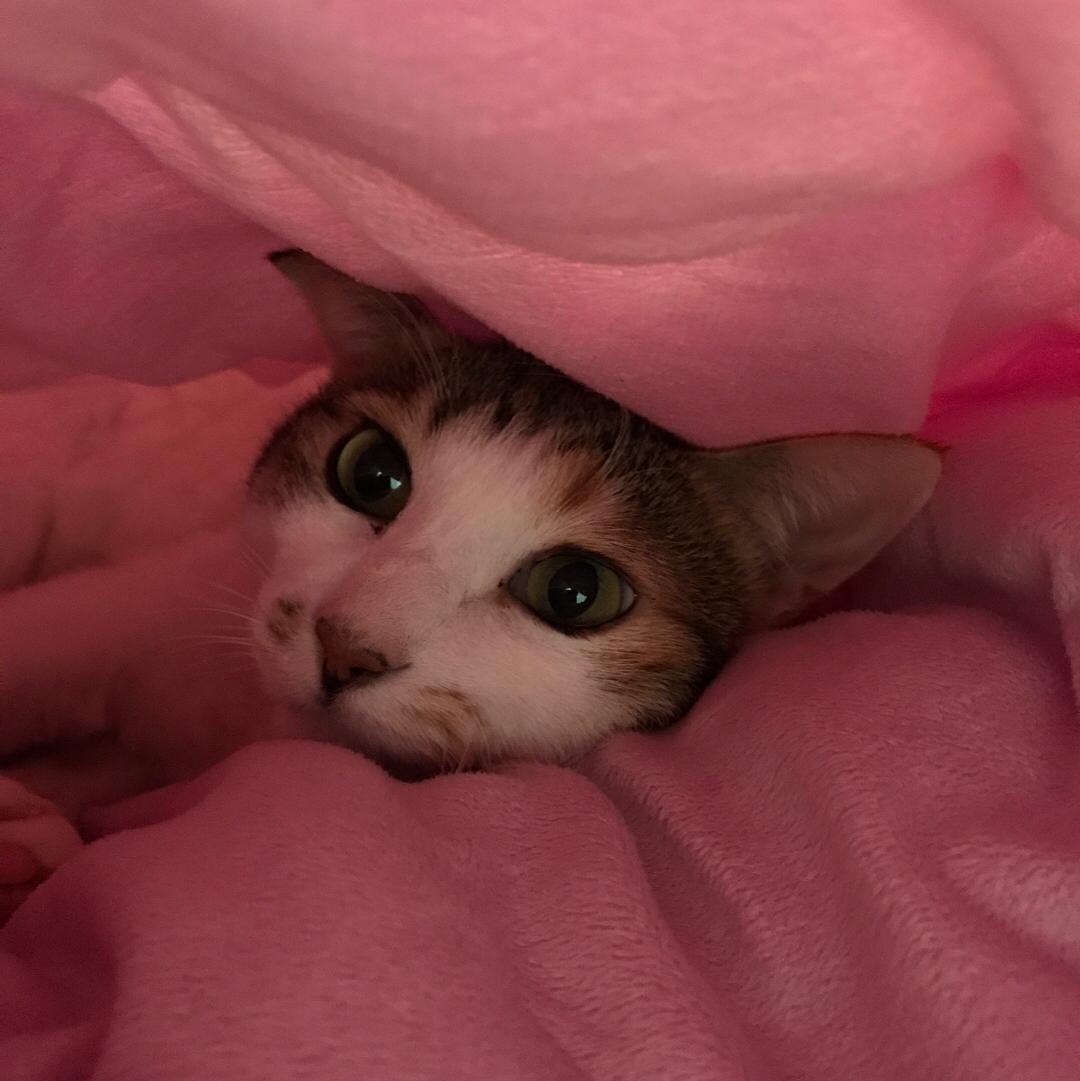 열빠 프로필