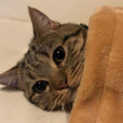 naneunceci