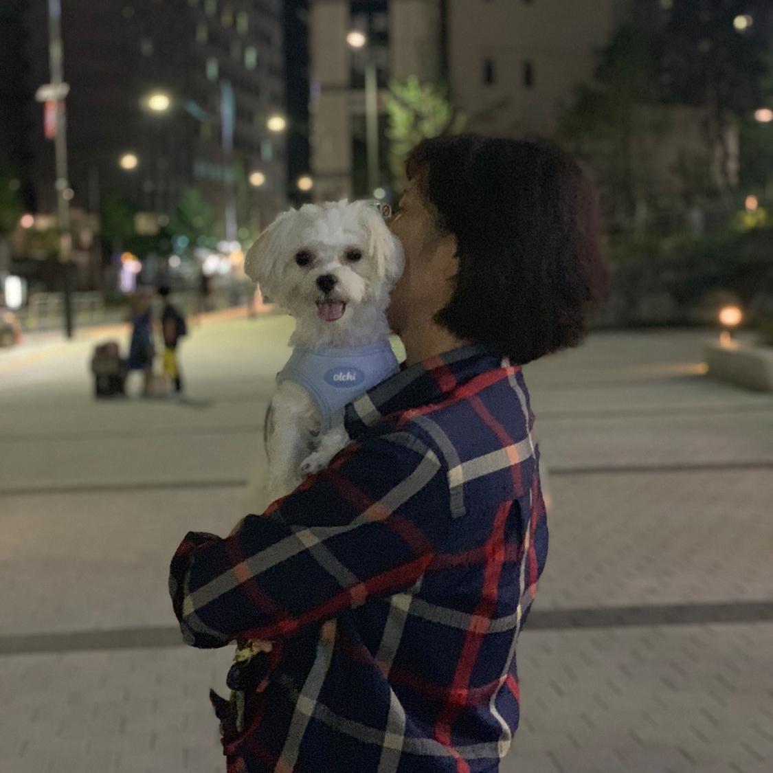 ahzzang 프로필
