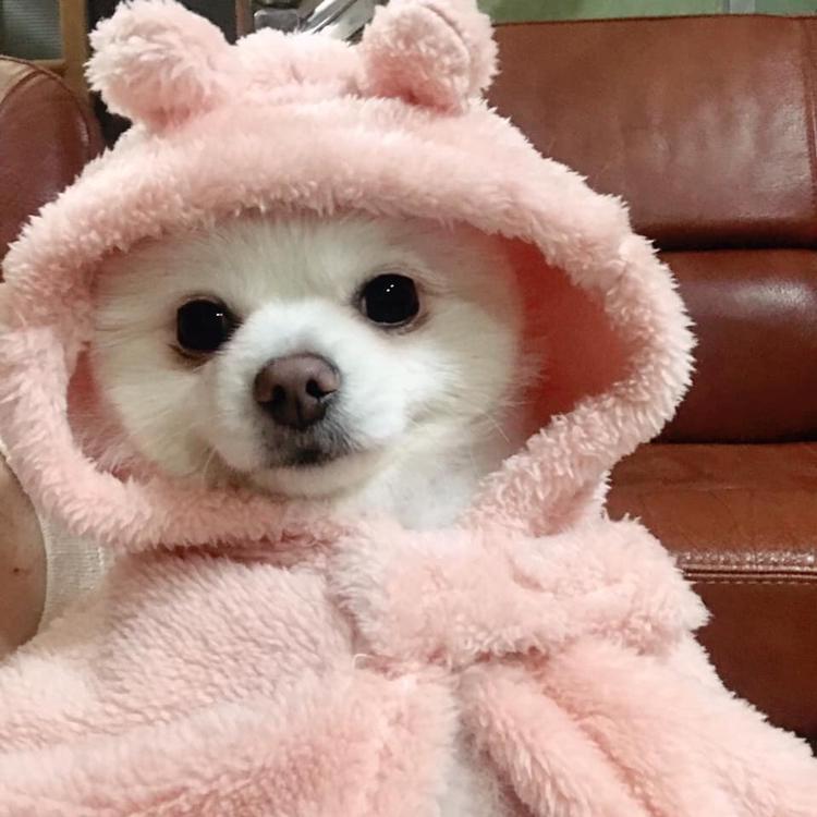 서연가영 프로필