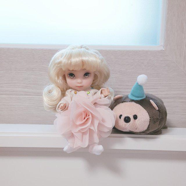 찌뽈 프로필