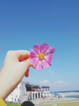 민트초초코