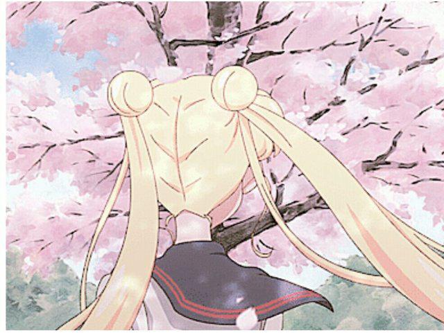 flower_ 프로필