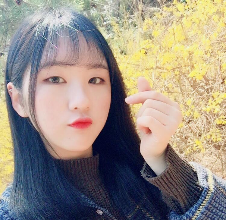 다나쩡 프로필