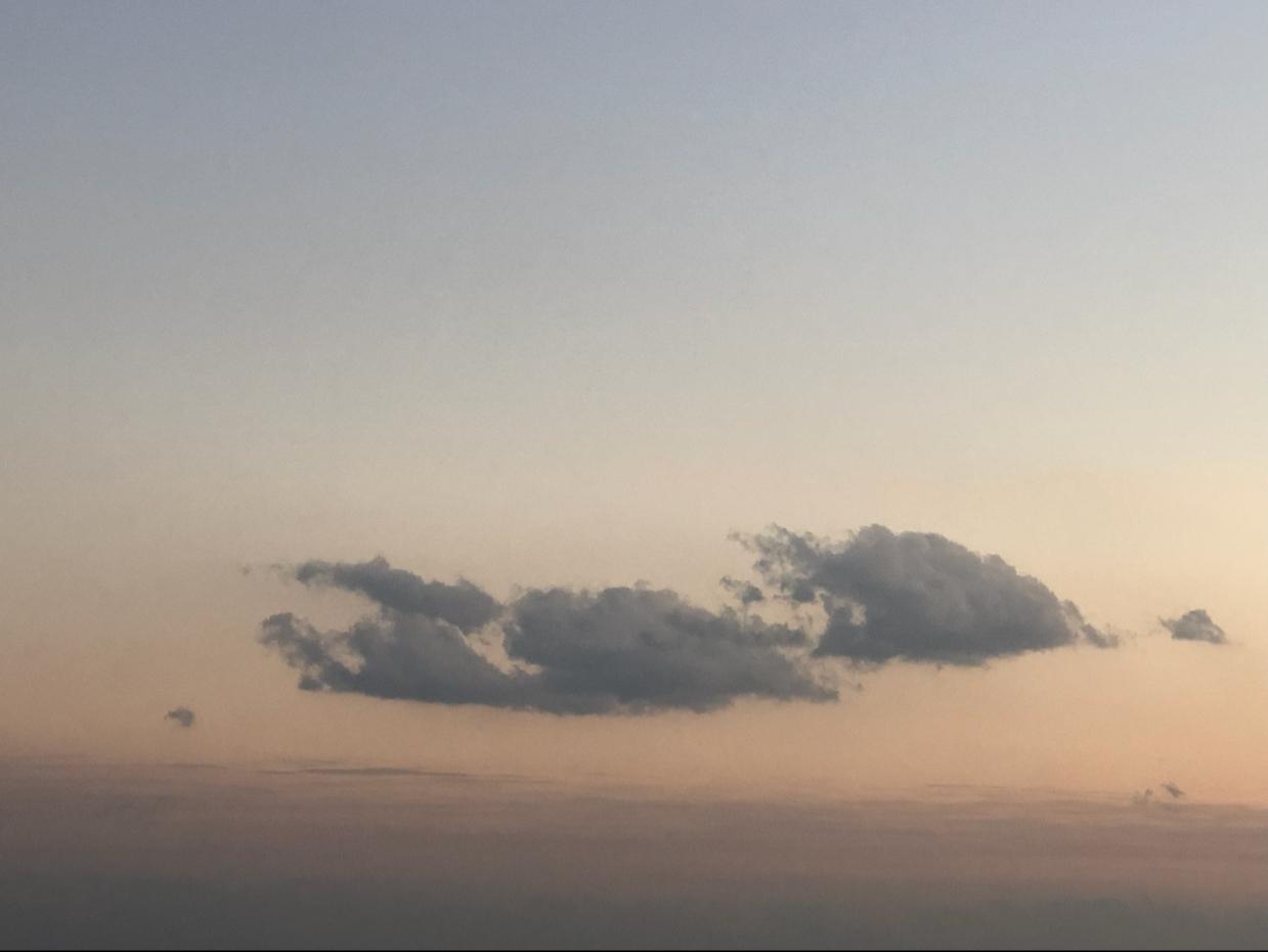 재럄 프로필